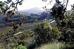 Kapstadt: Wanderung auf dem Tafelberg